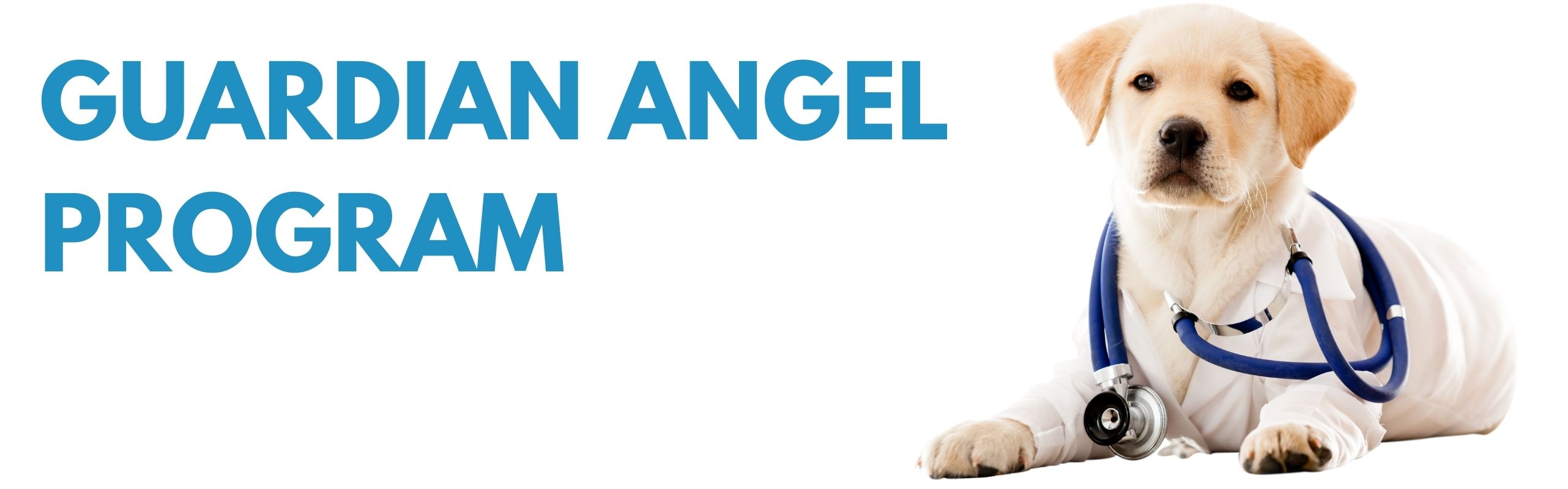 Guardian Angel Program - Placer SPCA