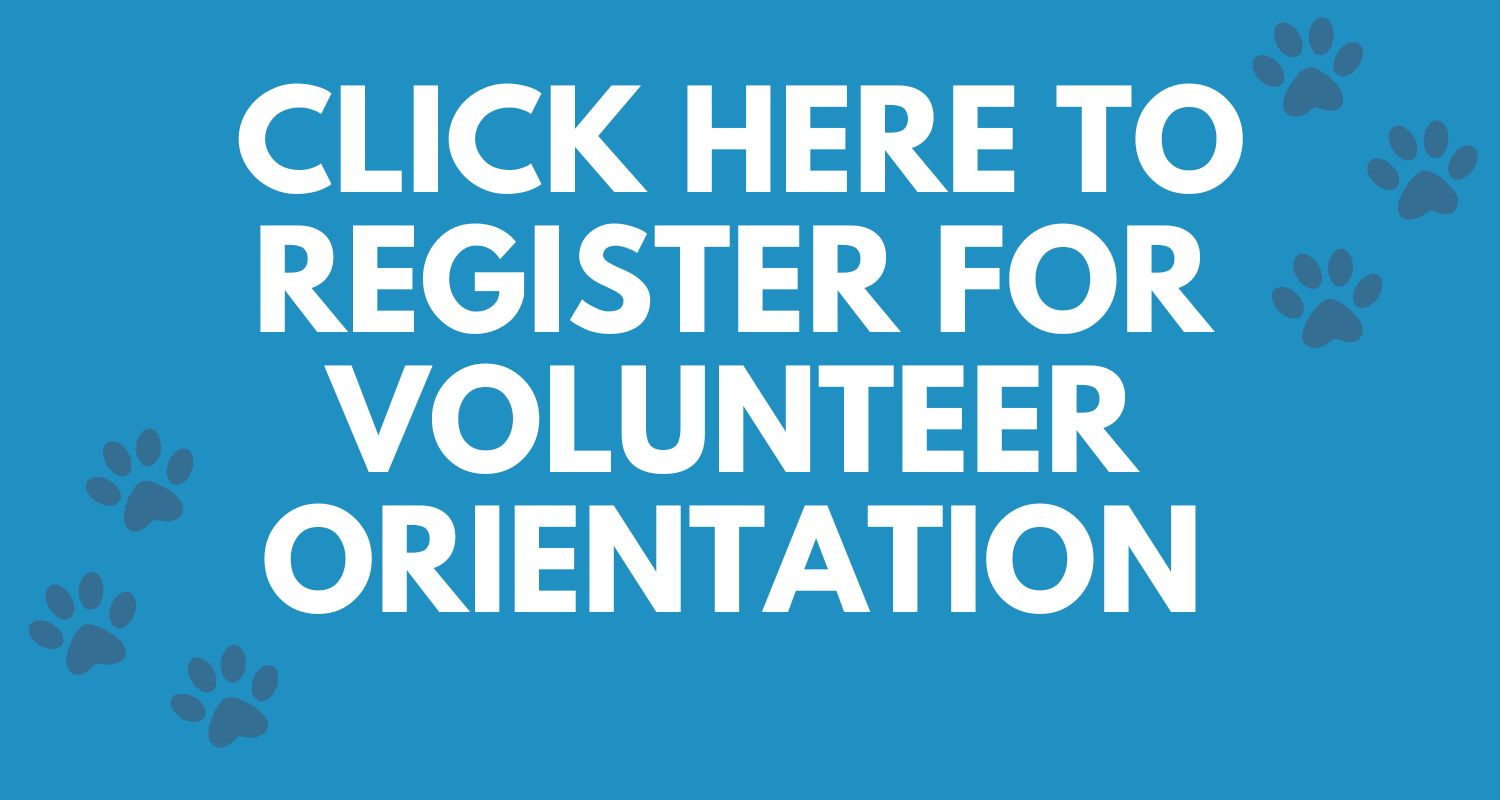 Click Here to Volunteer