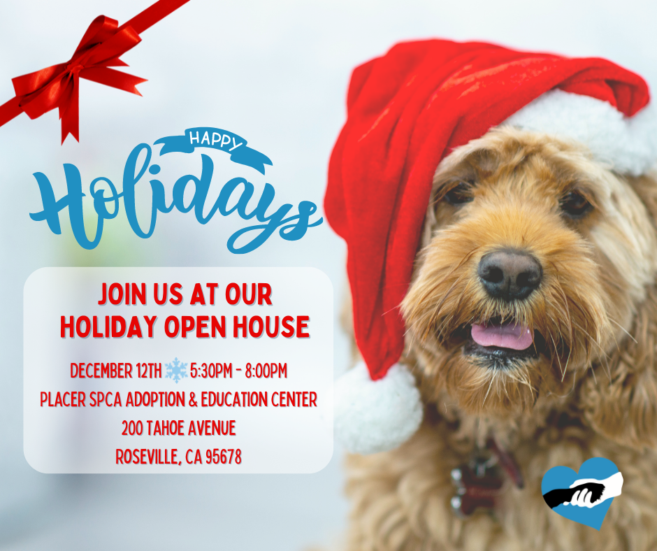 Holiday Open House - Placer SPCA