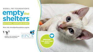 Empty the Shelters is happening now! May 1-15, 2025!