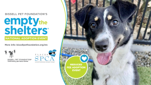 Empty the Shelters is Happening Now May 1-15!