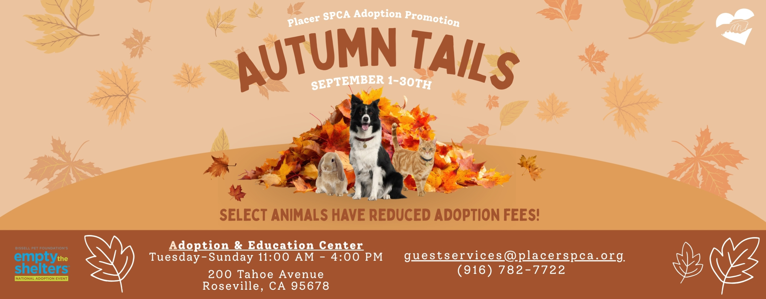 SEPT Adoption Promo Autumn Tails Web Banner