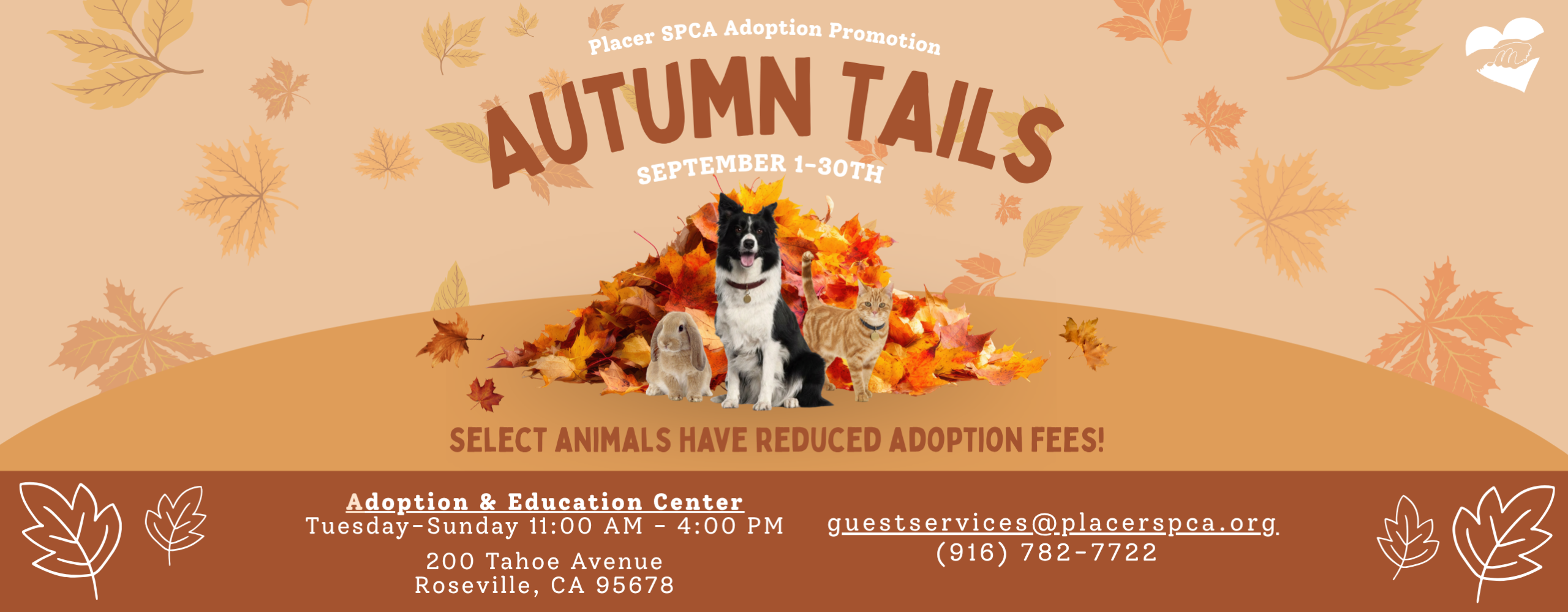 SEPT Adoption Promo Autumn Tails Web Banner